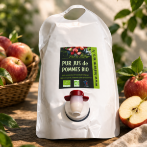 Pur Jus de Pommes Bio 3L